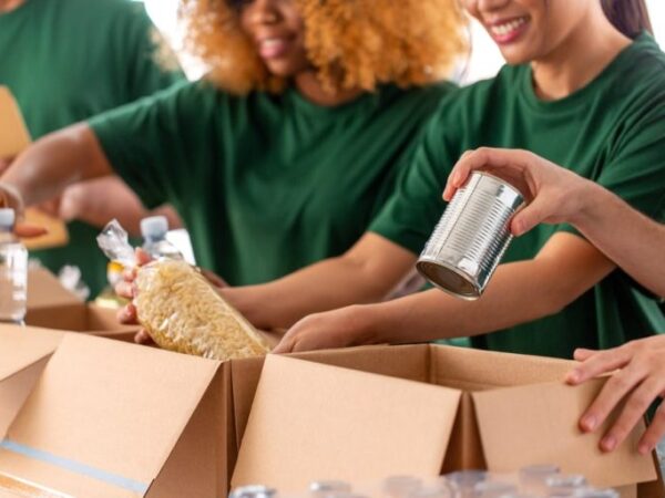 Qual a importância do trabalho Voluntário?
